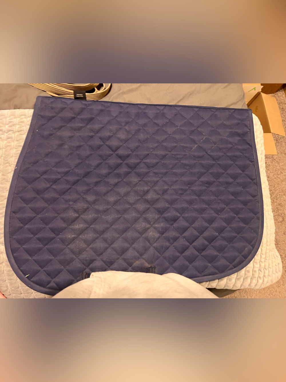 Rider’s International All Purpose Horse Saddle Pad